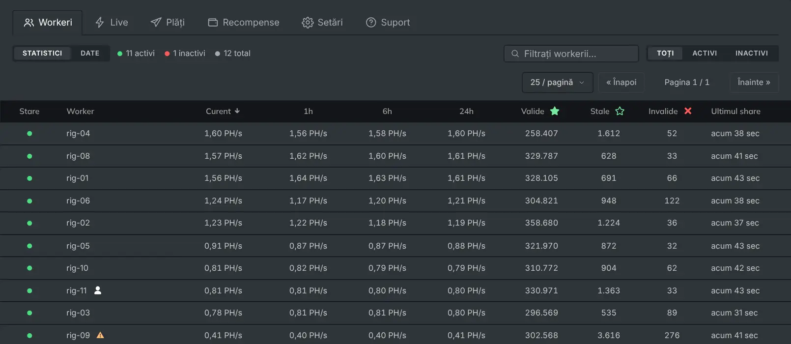 Fila Workeri, care listează fiecare rig cu hashrate-ul și share-urile lui