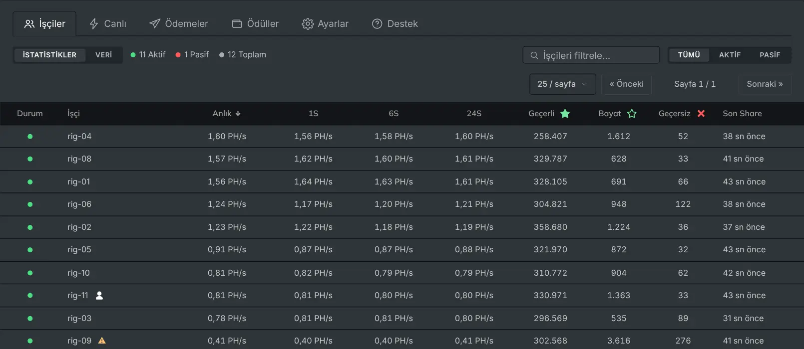 Her rig'i hashrate'i ve share'leriyle listeleyen İşçiler sekmesi