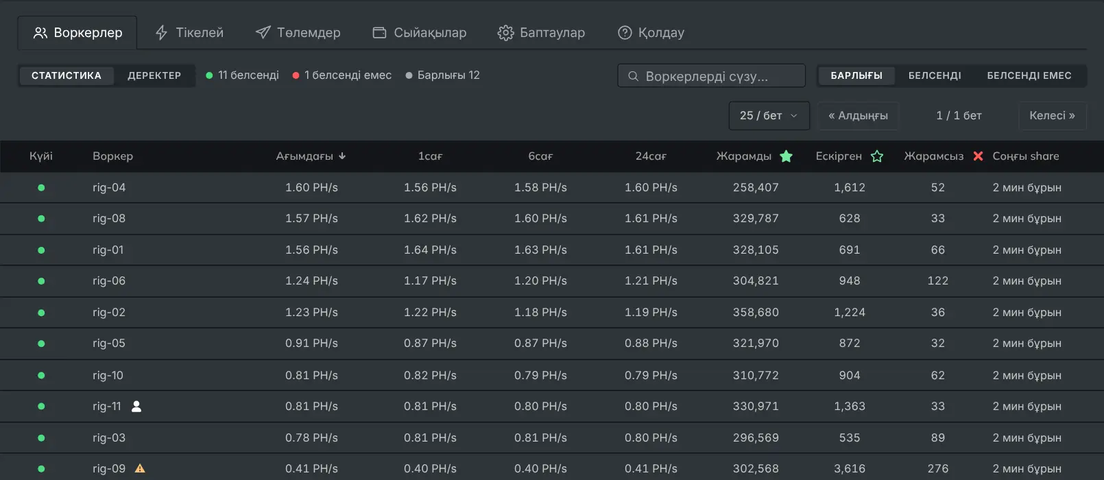 Әр ригті хешрейті мен share-лерімен көрсететін воркерлер қойындысы