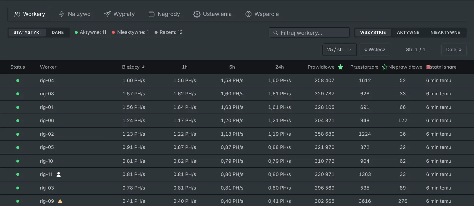 Zakładka Workery z listą koparek, ich hashrate'em i share'ami